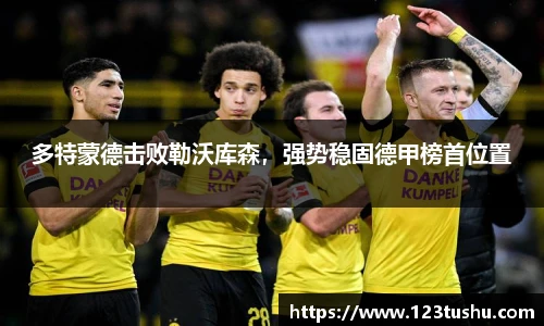 多特蒙德击败勒沃库森，强势稳固德甲榜首位置
