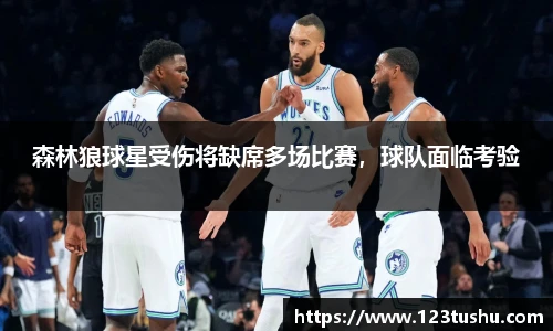森林狼球星受伤将缺席多场比赛,球队面临考验