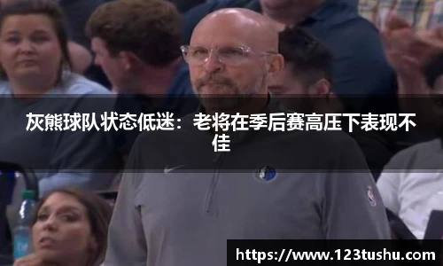灰熊球队状态低迷：老将在季后赛高压下表现不佳